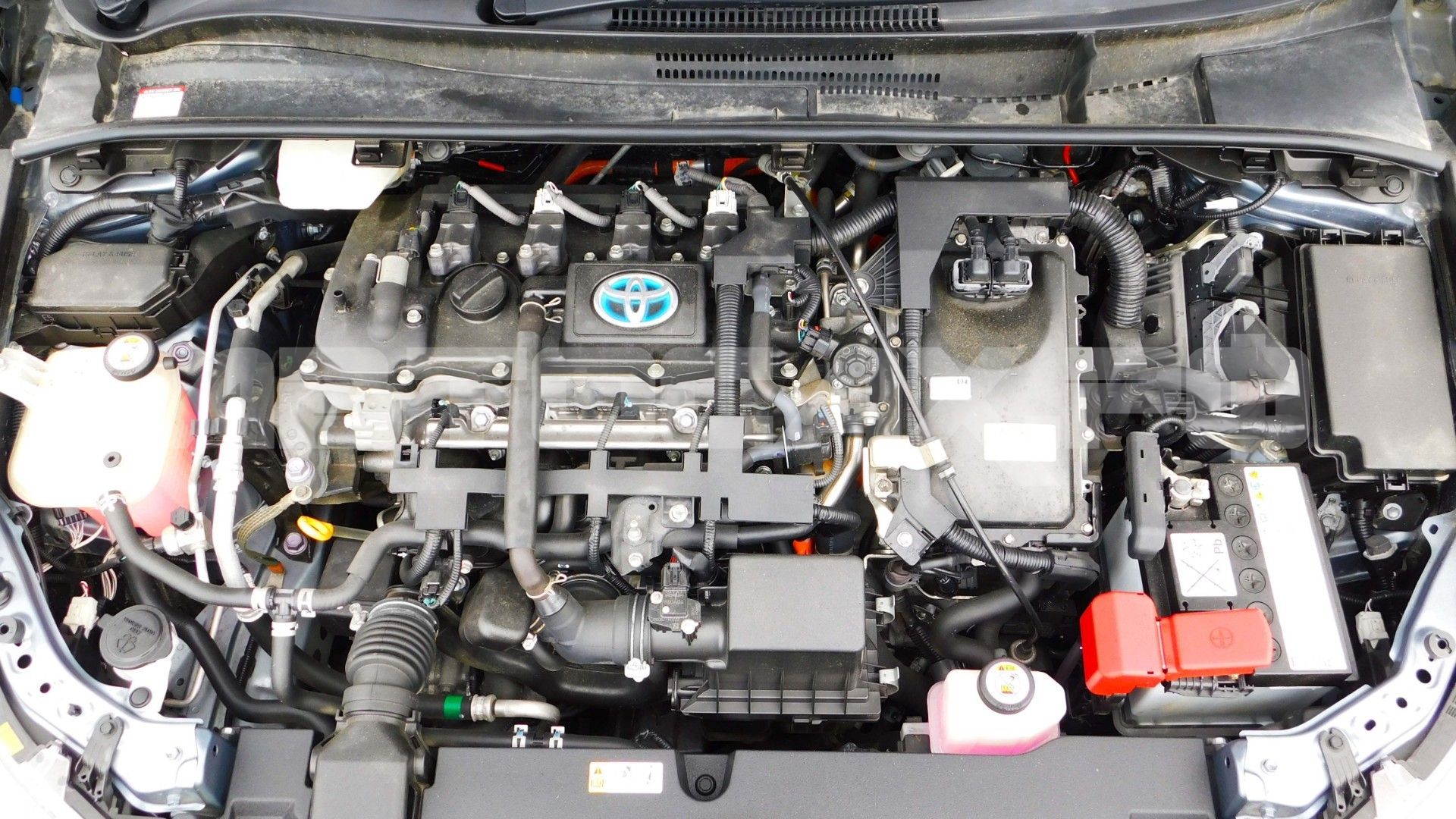 Toyota Corolla Touring 2020, Универсал — фото 34