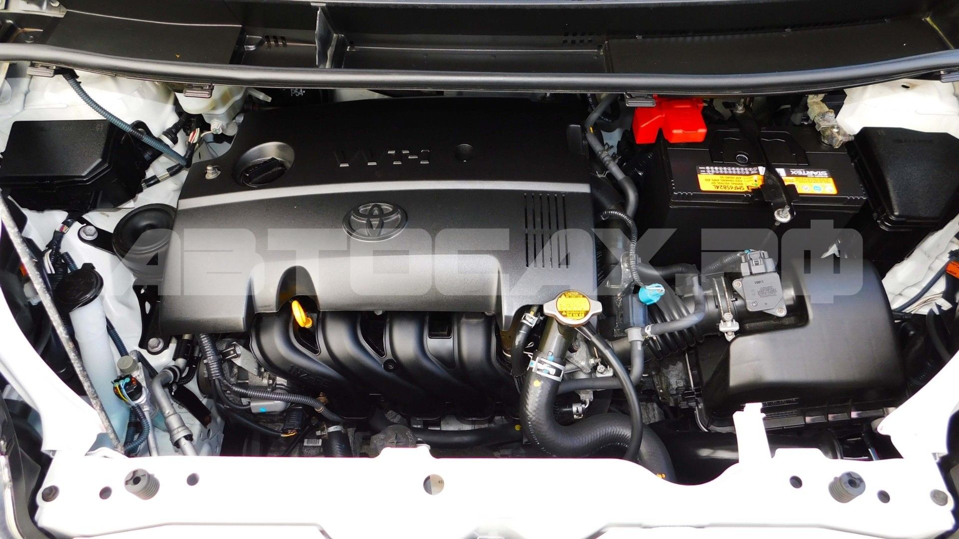 Toyota Porte 2020, Хэтчбек — фото 41
