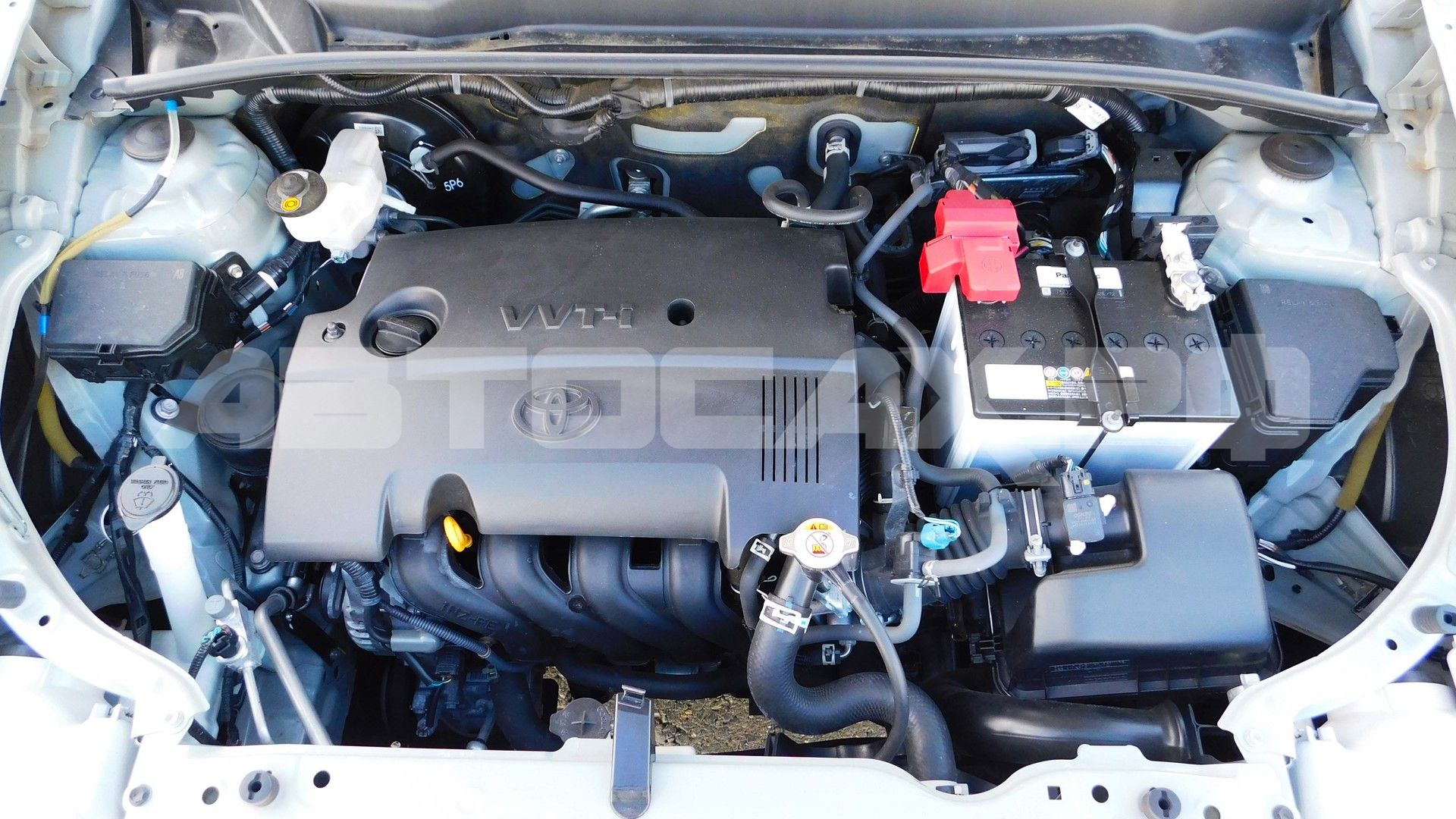 Toyota Probox 2024, Универсал — фото 33