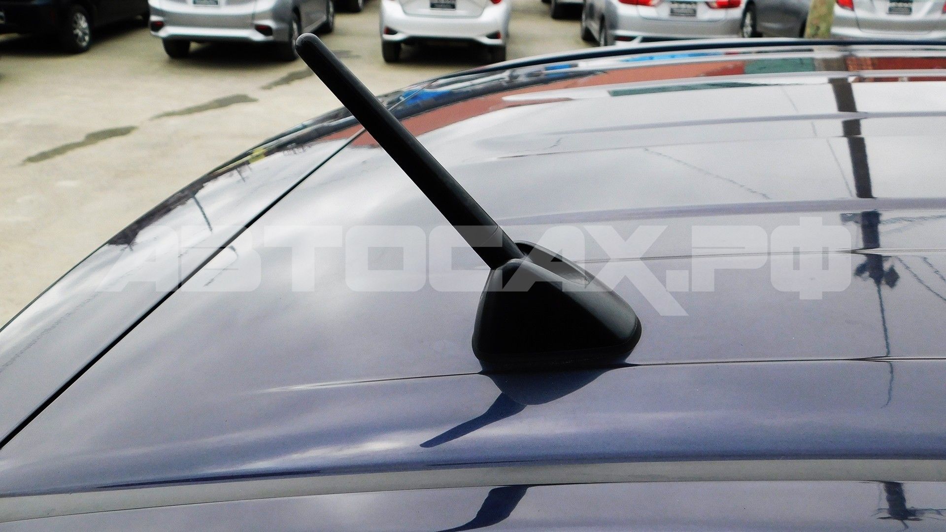 Toyota Spade 2015, Хэтчбек — фото 50