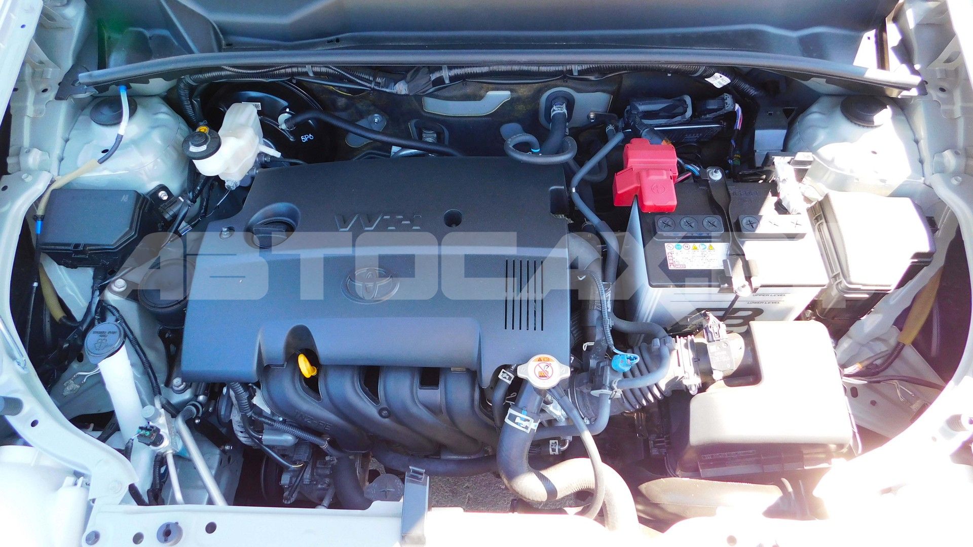 Toyota Probox 2025, Универсал — фото 22