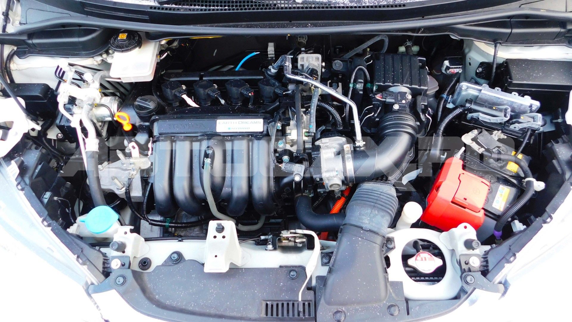 Honda Fit 2019, Хэтчбек — фото 37